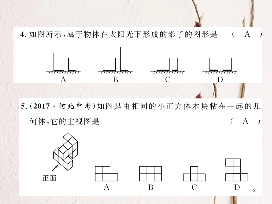 九年级数学下册 第29章 投影与视图达标测试卷作业课件 （新版）新人教版(1)_第3页