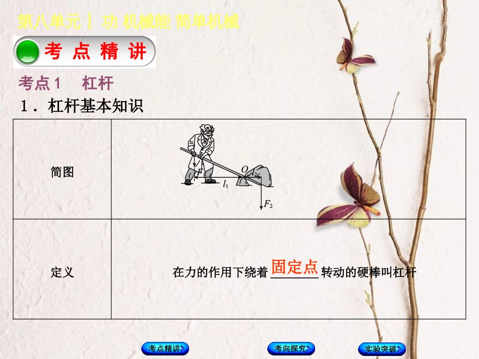 中考物理复习 第八单元 功和机械能 简单机械 第16课时 杠杆 滑轮课件(1)_第2页