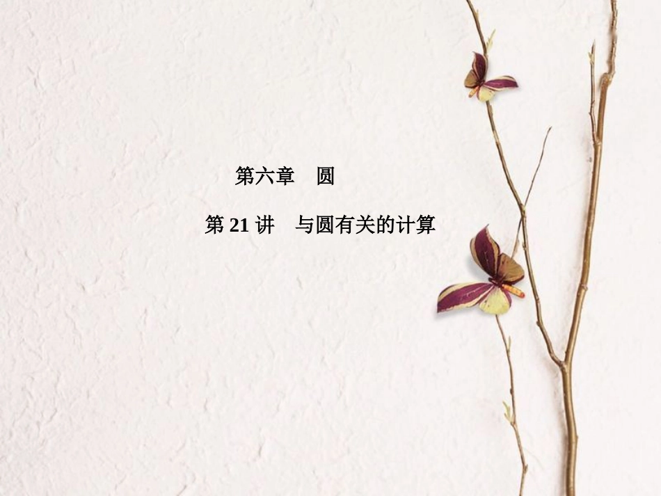 山东省滨州市中考数学复习 第六章 圆 第21讲 与圆有关的计算课件_第1页