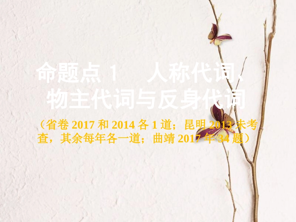 云南省中考英语复习 第二部分 语法专题研究 专题二 代词课件(1)_第2页