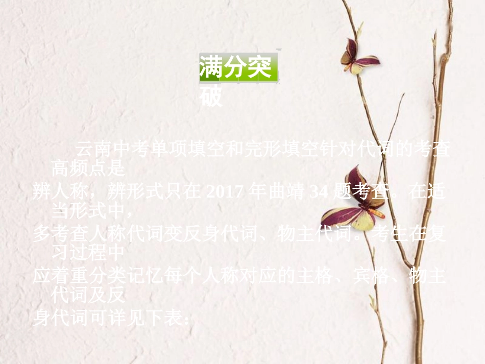 云南省中考英语复习 第二部分 语法专题研究 专题二 代词课件(1)_第3页