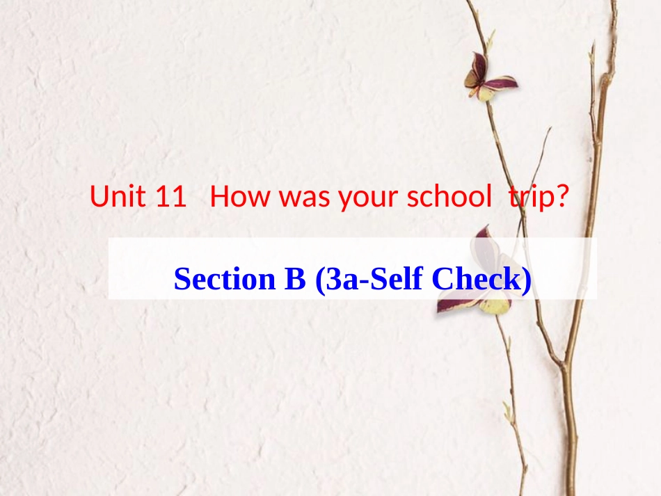 贵州省习水县七年级英语下册 Unit 11 How was your school trip Section B（3a-3c）& Self Check课件 （新版）人教新目标版_第1页