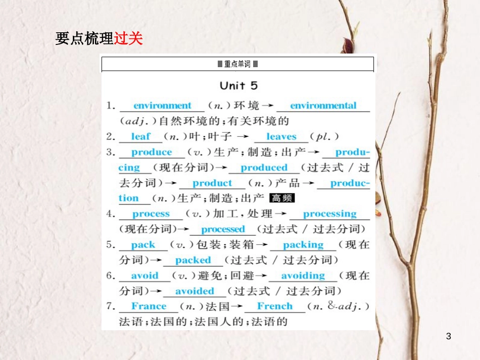 安徽省版中考英语 第一部分 系统复习 成绩基石 九全 第19讲 课件_第3页