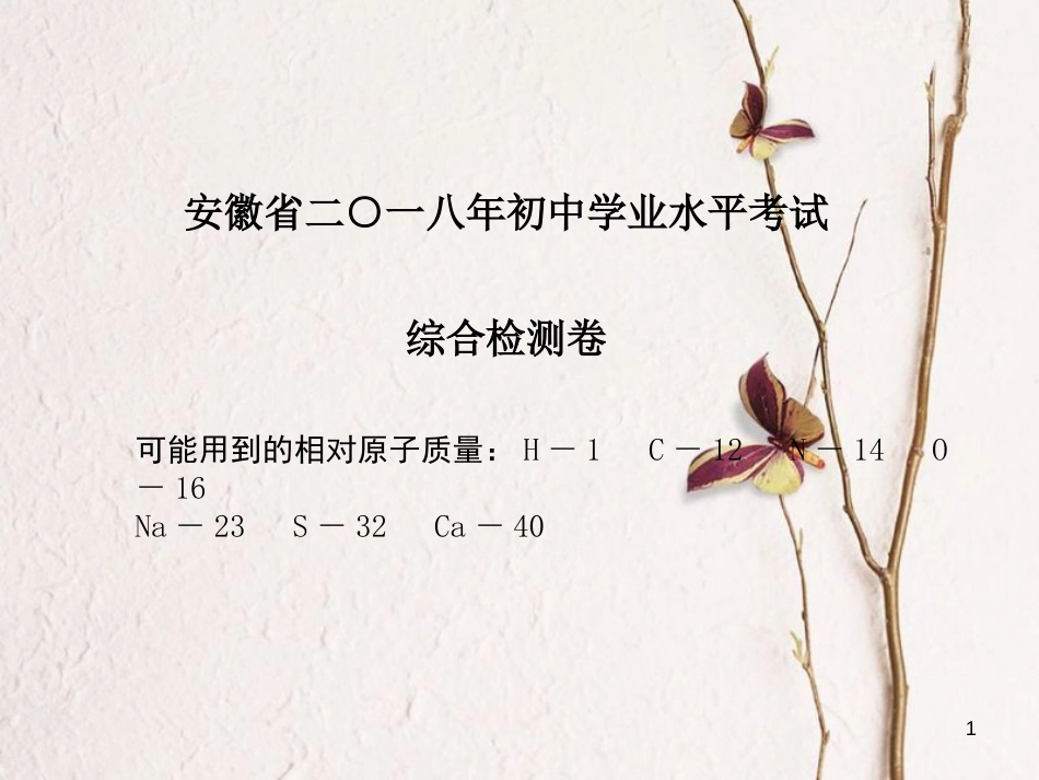安徽省中考化学复习 综合检测卷课件_第1页