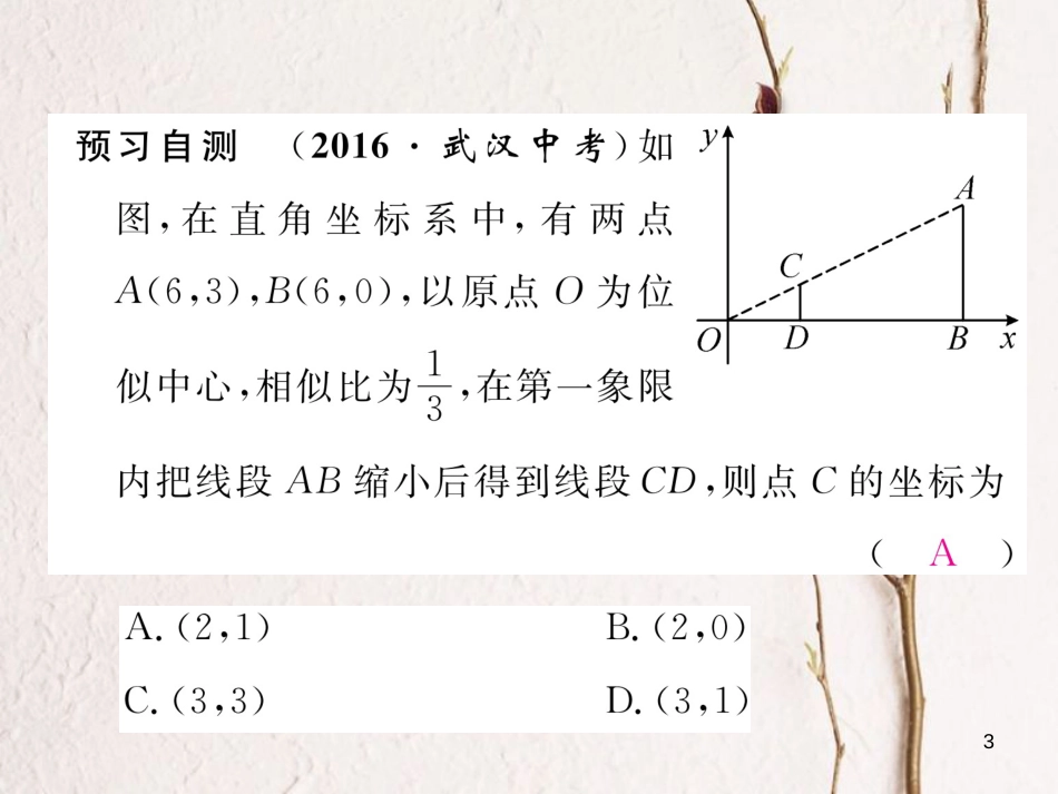 九年级数学下册 第27章 相似 27.3 位似（第2课时）平面直角坐标系中的位似作业课件 （新版）新人教版(1)_第3页