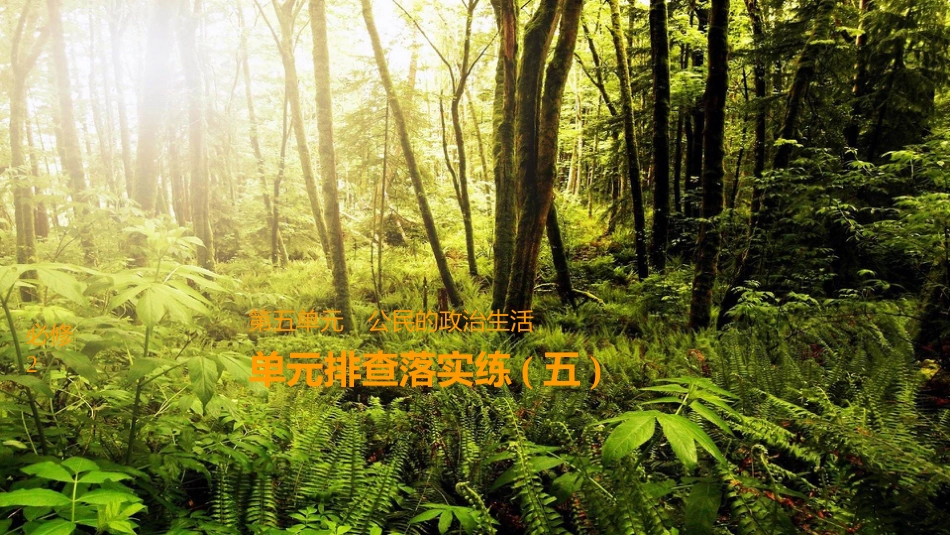 2019届高考政治一轮复习 第五单元 公民的政治生活单元排查落实练（五）课件 新人教版必修2_第1页