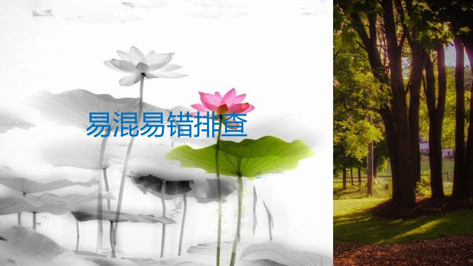2019届高考政治一轮复习 第五单元 公民的政治生活单元排查落实练（五）课件 新人教版必修2_第3页