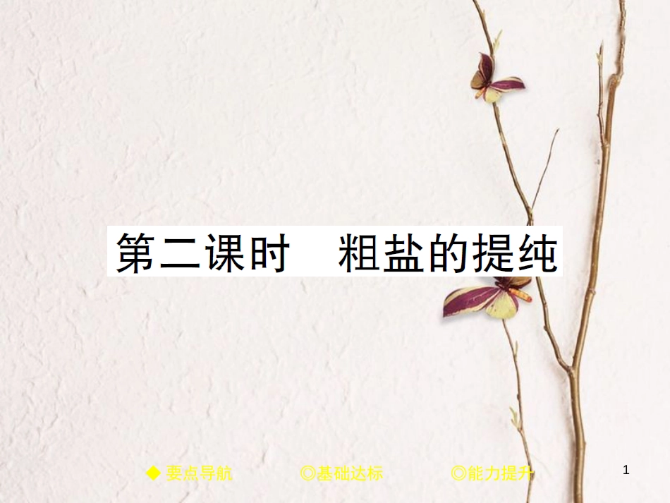九年级化学下册 第八单元 海水中的化学 第二节 海水“晒盐”第2课时 粗盐的提纯习题课件 （新版）鲁教版_第1页
