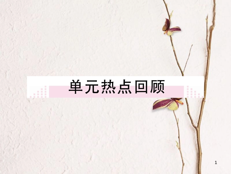 八年级历史下册 第二单元 社会主义制度的建立与社会主义建设的探索热点回顾练习课件 新人教版_第1页