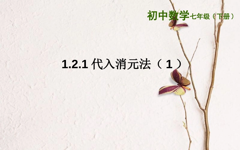 山东省东营市垦利区郝家镇七年级数学下册 1.2.1 代入消元法（1）课件 （新版）湘教版(1)_第1页