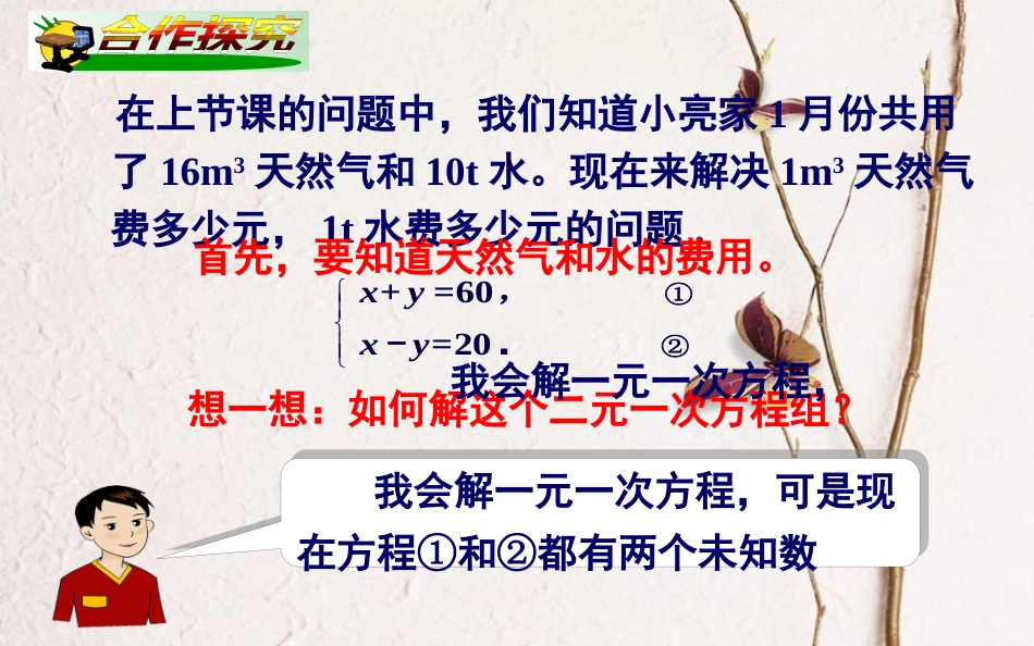 山东省东营市垦利区郝家镇七年级数学下册 1.2.1 代入消元法（1）课件 （新版）湘教版(1)_第3页