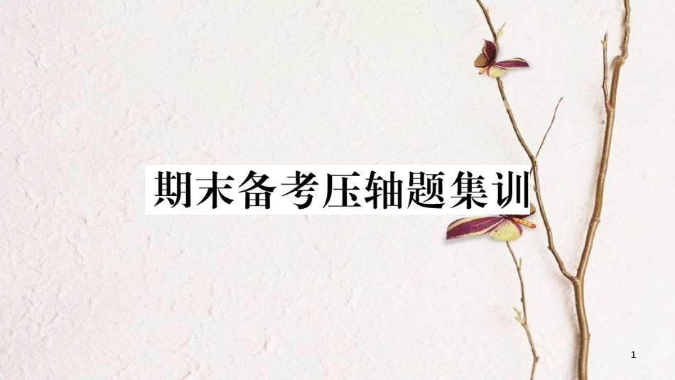 八年级道德与法治下册 期末备考压轴题集训课件 新人教版(1)_第1页
