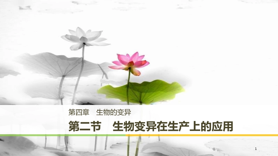 高中生物 第四章 生物的变异 第二节 生物变异在生产上的应用课件 浙科版必修2_第1页