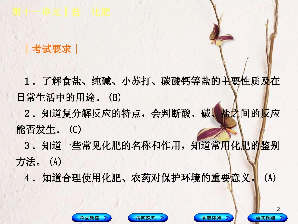 （安徽专版）中考化学复习 第十一单元 盐 化肥课件_第2页