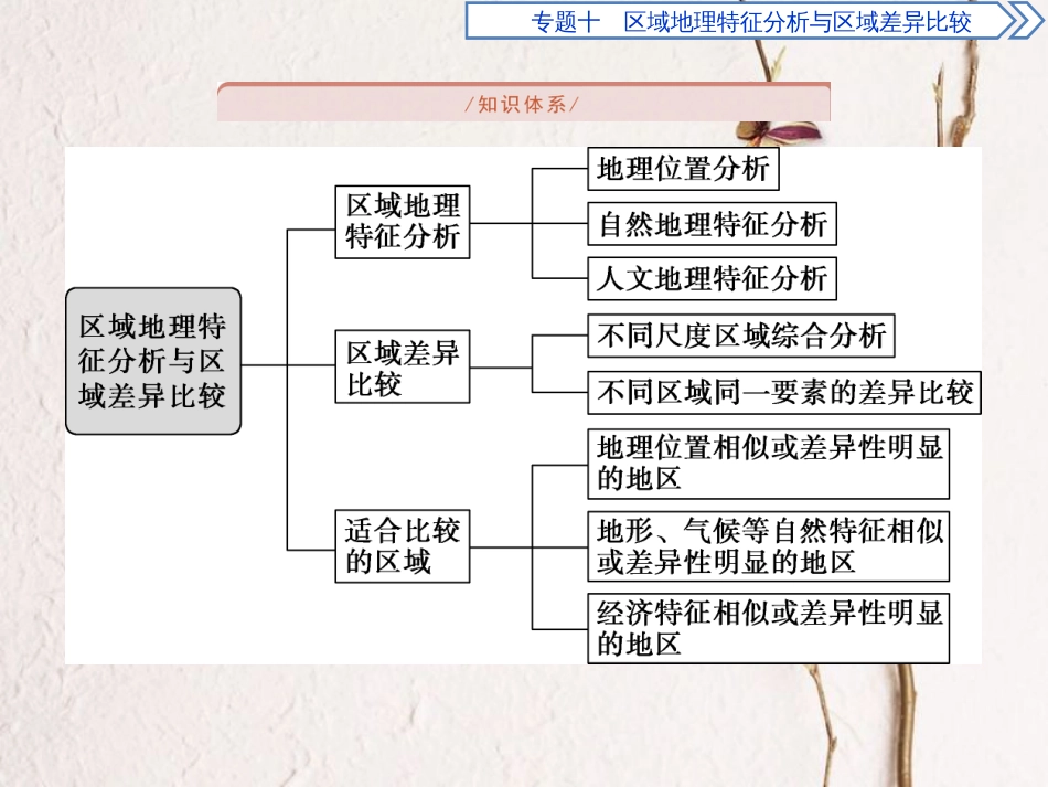 高考地理二轮复习 专题十 区域地理特征分析课件(1)_第2页