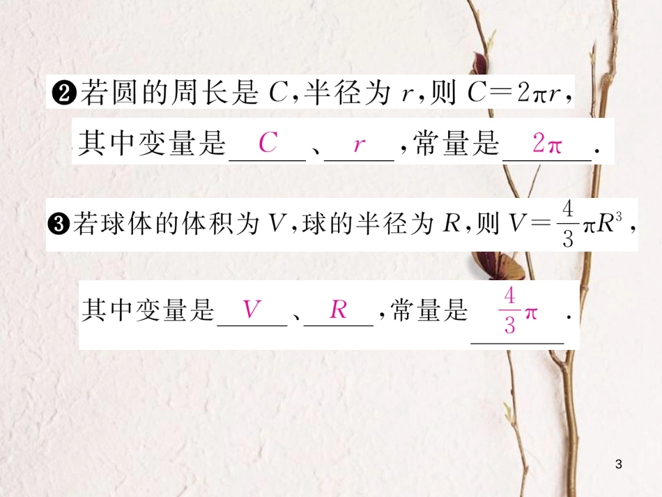 （云南专版）八年级数学下册 第19章 一次函数 19.1 变量与函数 19.1.1 变量与函数 第1课时 常量、变量作业课件 （新版）新人教版(1)_第3页