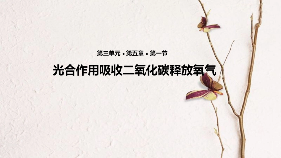 七年级生物上册 第三单元 第五章 第一节《光合作用吸收二氧化碳释放氧气》课件 （新版）新人教版(1)_第1页