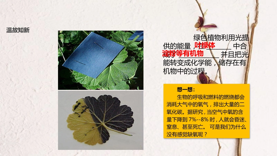 七年级生物上册 第三单元 第五章 第一节《光合作用吸收二氧化碳释放氧气》课件 （新版）新人教版(1)_第3页