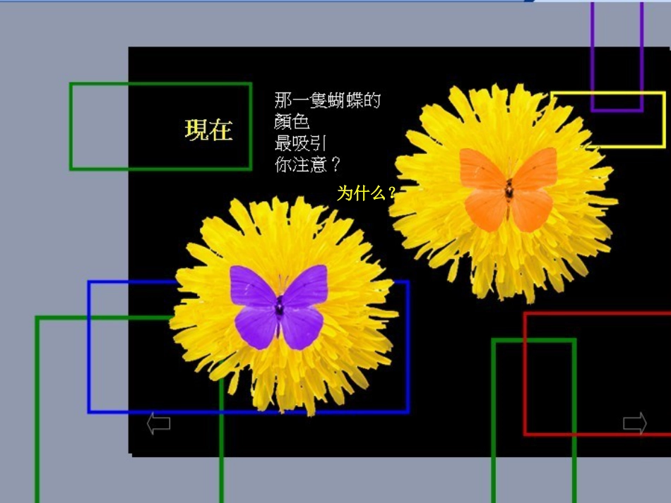 七年级美术下册 4 色彩的对比课件4 人美版_第3页