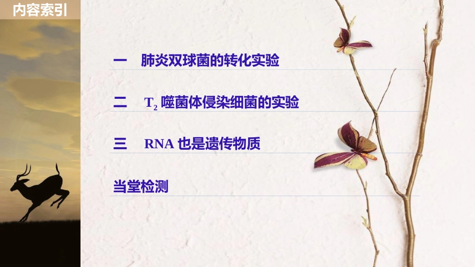 高中生物 第2章 遗传信息传递的结构基础 第5课时 DNA贮存遗传信息(Ⅰ)课件 北师大版必修2(1)_第3页