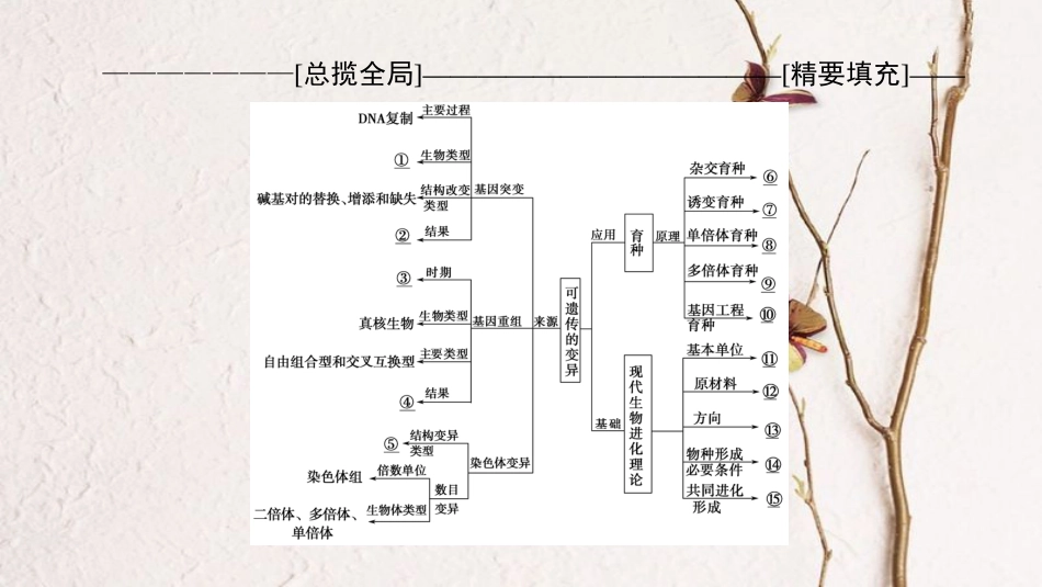 高三生物一轮复习 第7单元 单元高效整合课件 新人教版必修2_第2页