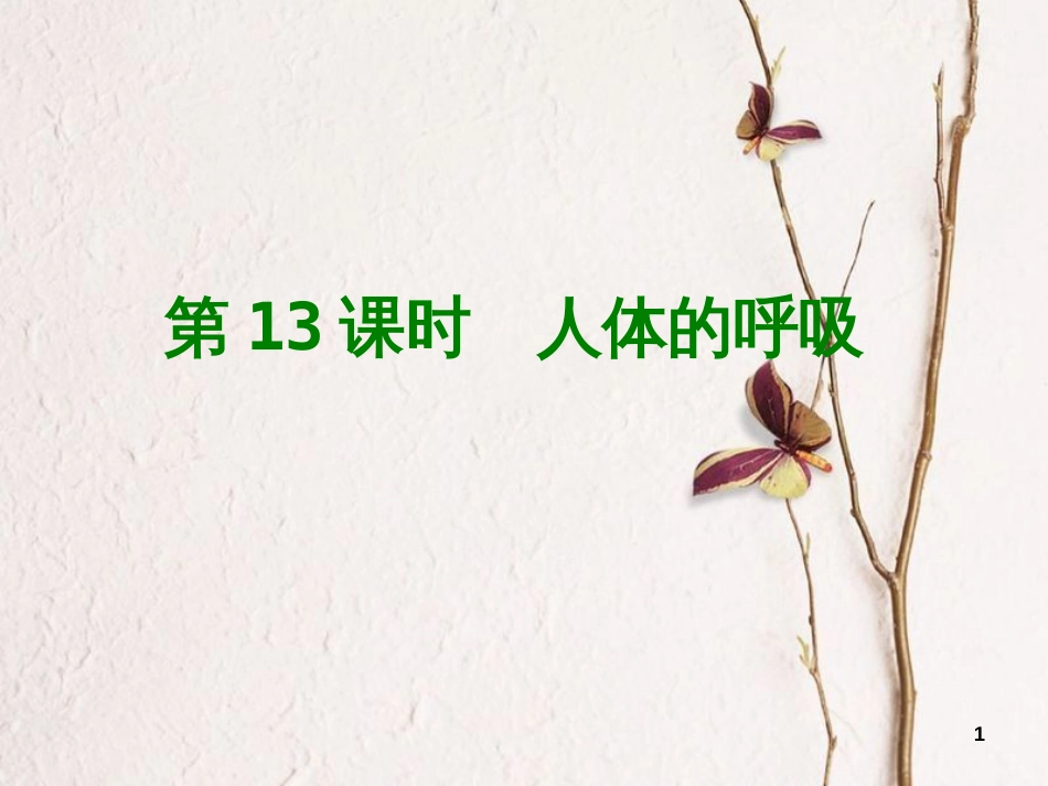 中考生物 第四单元 生物圈中的人 第13课时 人体的呼吸课件(1)_第1页
