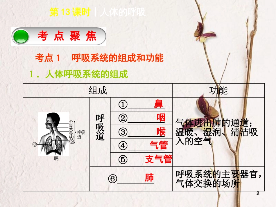 中考生物 第四单元 生物圈中的人 第13课时 人体的呼吸课件(1)_第2页
