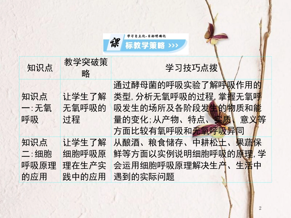 高中生物 第4单元 光合作用和细胞呼吸 第7课时 细胞呼吸（二）复习课件 苏教版必修1_第2页
