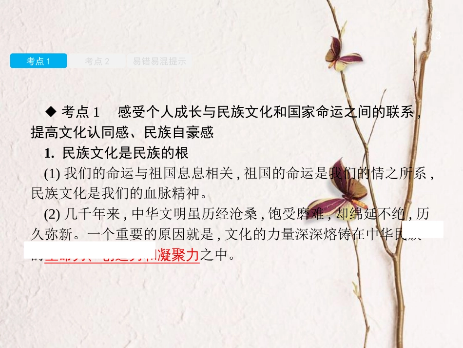 中考政治 专题十二 发展先进文化 弘扬民族精神复习课件(1)_第3页