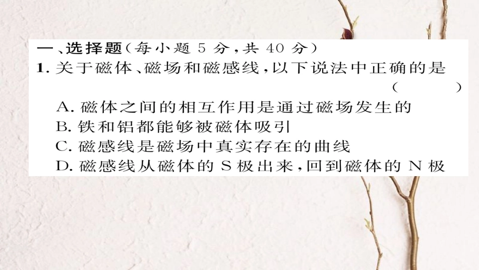 九年级物理全册 双休作业二习题课件 （新版）新人教版_第2页