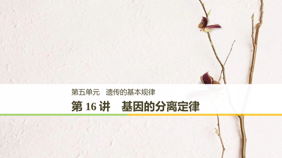 高考生物一轮复习 第5单元 遗传的基本规律 第16讲 基因的分离定律课件(1)_第1页