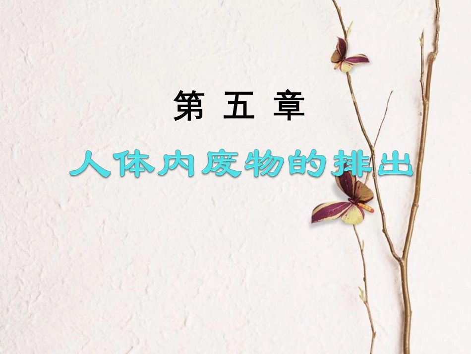 七年级生物下册 第四单元 第五章 人体内废物的排出课件 （新版）新人教版(1)_第1页