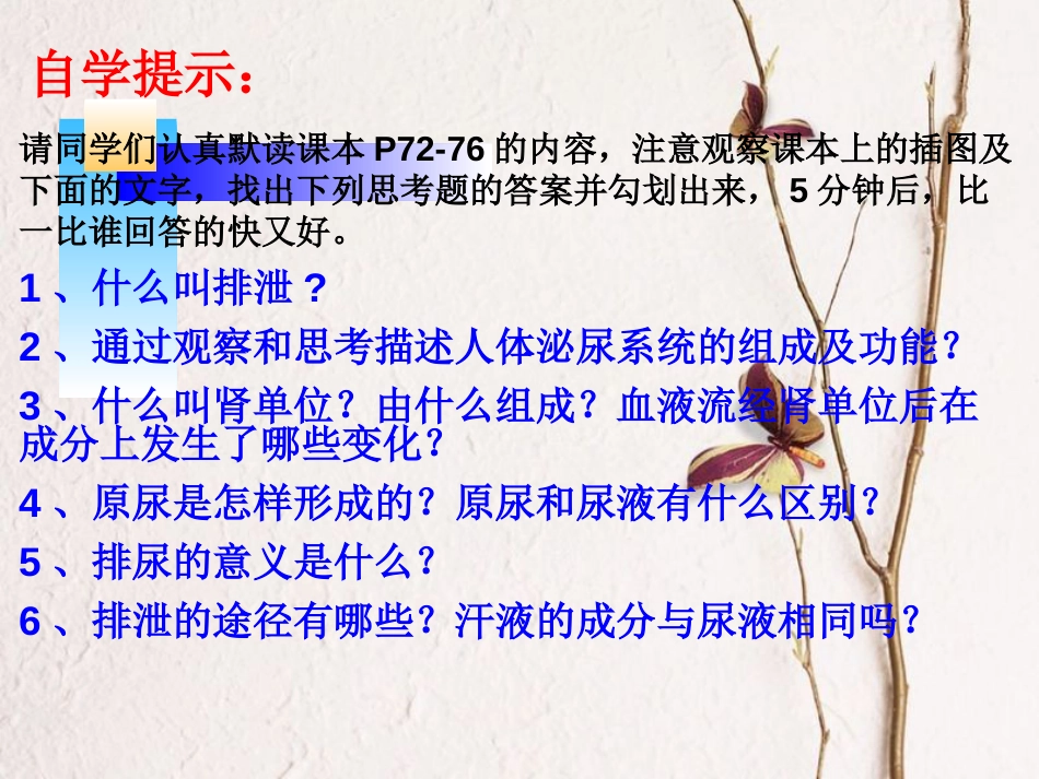 七年级生物下册 第四单元 第五章 人体内废物的排出课件 （新版）新人教版(1)_第2页