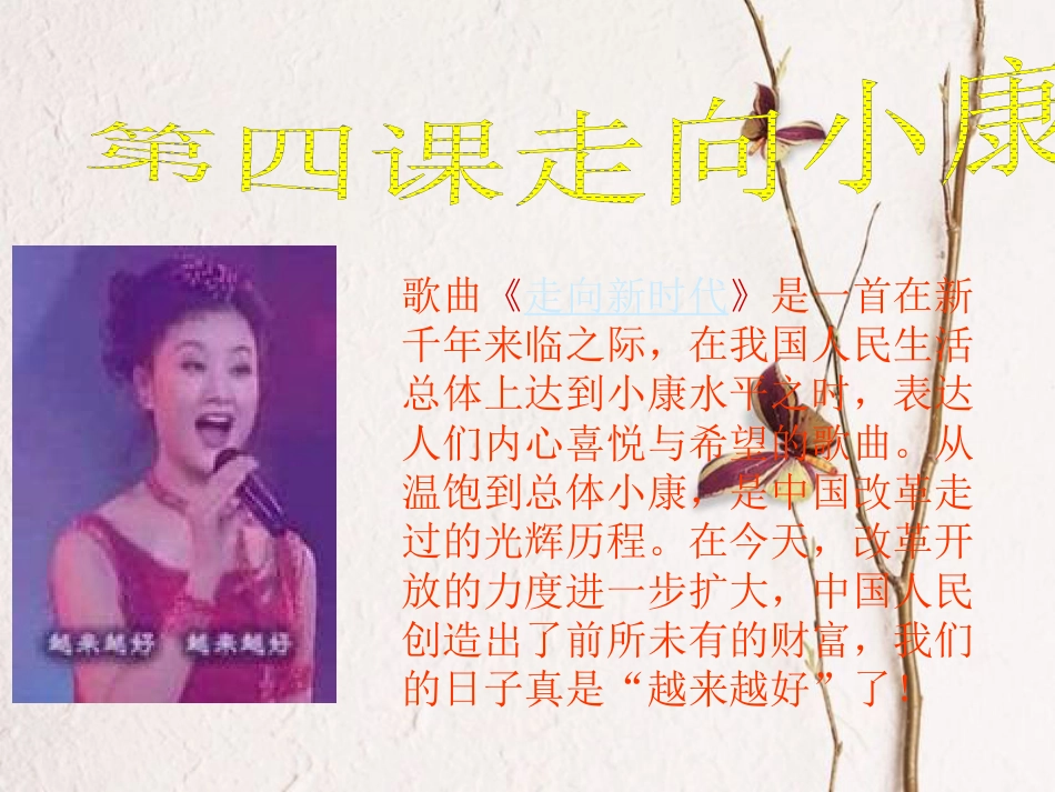 九年级政治全册 第二单元 财富论坛 第四课《走向小康》课件3 教科版(1)_第2页