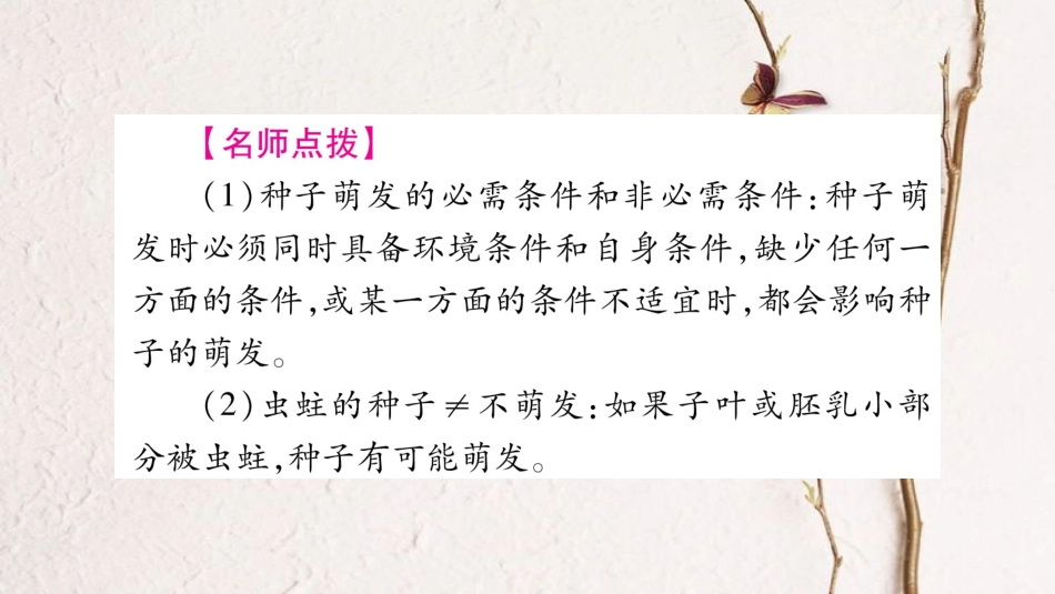 中考生物总复习 教材考点梳理 七上 第3单元 第2章 被子植物的一生课件 新人教版(1)_第3页