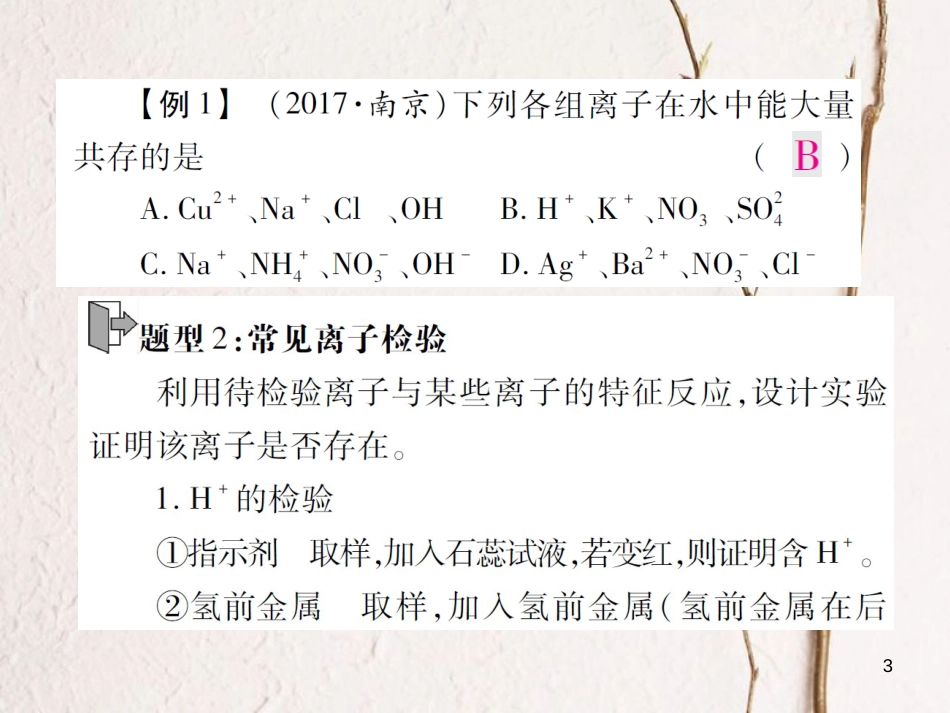 九年级化学下册 专题特训 复分解反应的应用（一）习题课件 （新版）鲁教版_第3页