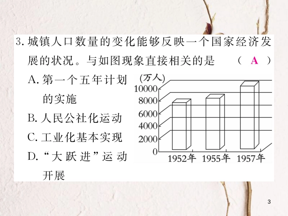 八年级历史下册 期末检测卷二课件 新人教版(1)_第3页