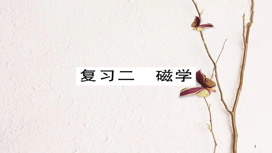 九年级物理全册 复习二 磁学课件 （新版）新人教版(1)_第1页