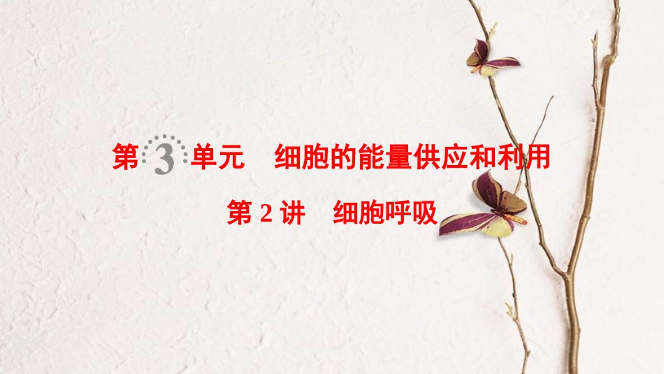 （全国版）2019版高考生物一轮复习 第3单元 细胞的能量供应和利用 第2讲 细胞呼吸课件(1)_第1页