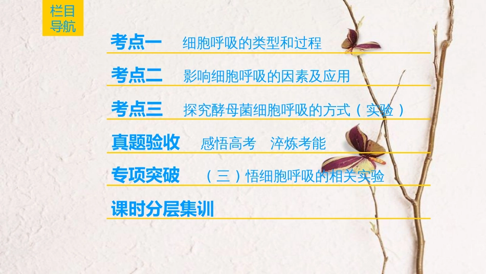 （全国版）2019版高考生物一轮复习 第3单元 细胞的能量供应和利用 第2讲 细胞呼吸课件(1)_第2页