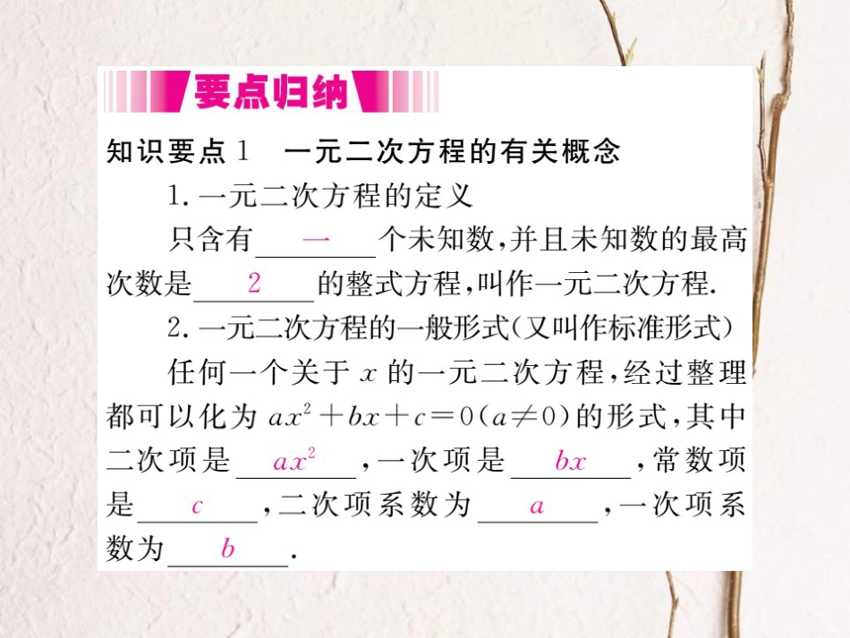 八年级数学下册 第17章 一元二次方程 17.1 一元二次方程导学课件 （新版）沪科版(1)_第2页