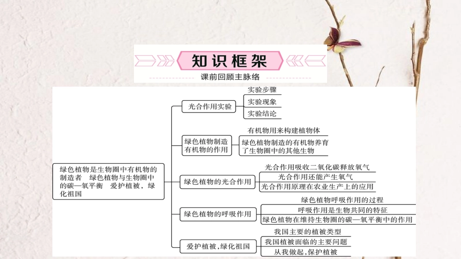 （泰安专版）中考生物总复习 七上 第三单元 第四章 第五章 第六章爱护植被，绿化祖国教材梳理课件_第2页