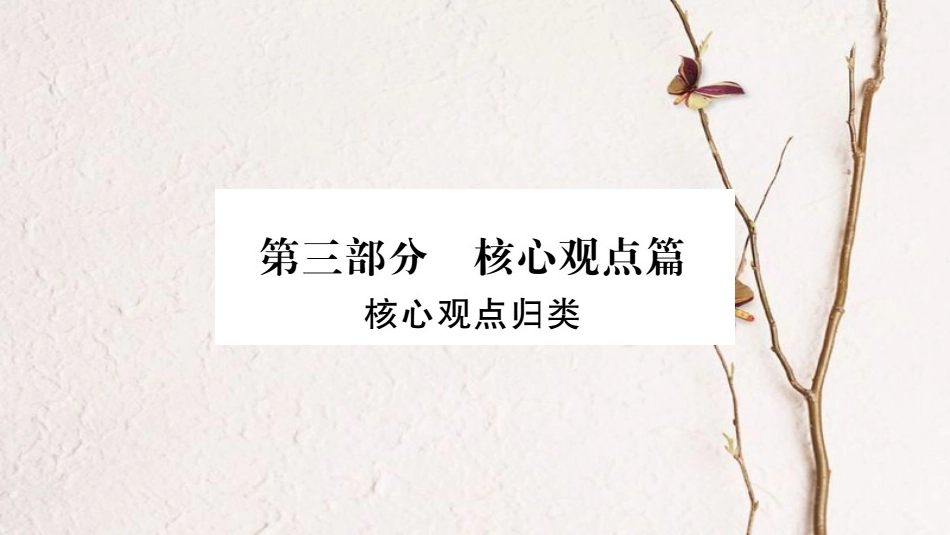 中考政治 核心观点篇专题复习_第1页