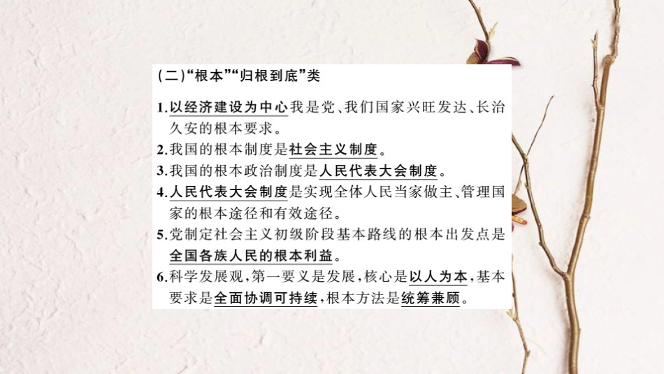 中考政治 核心观点篇专题复习_第3页