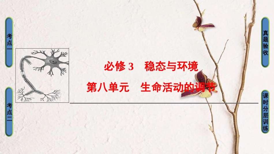 高三生物一轮复习 第8单元 第1讲 人体的内环境与稳态课件 新人教版必修3_第1页