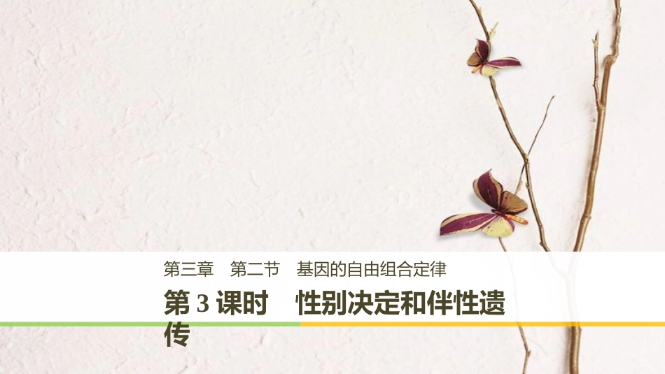 高中生物 第三章 遗传和染色体 第二节 基因的自由组合定律 第3课时课件 苏教版必修2_第1页