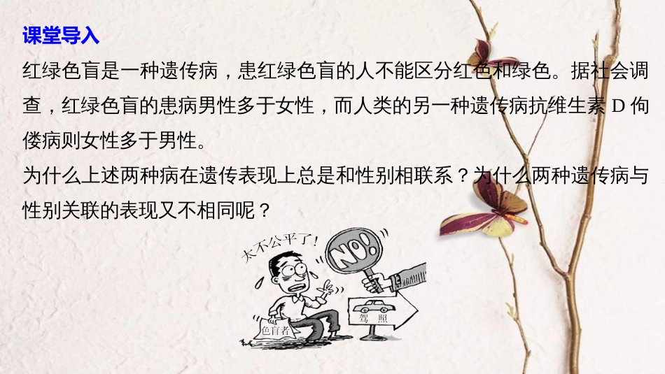 高中生物 第三章 遗传和染色体 第二节 基因的自由组合定律 第3课时课件 苏教版必修2_第3页