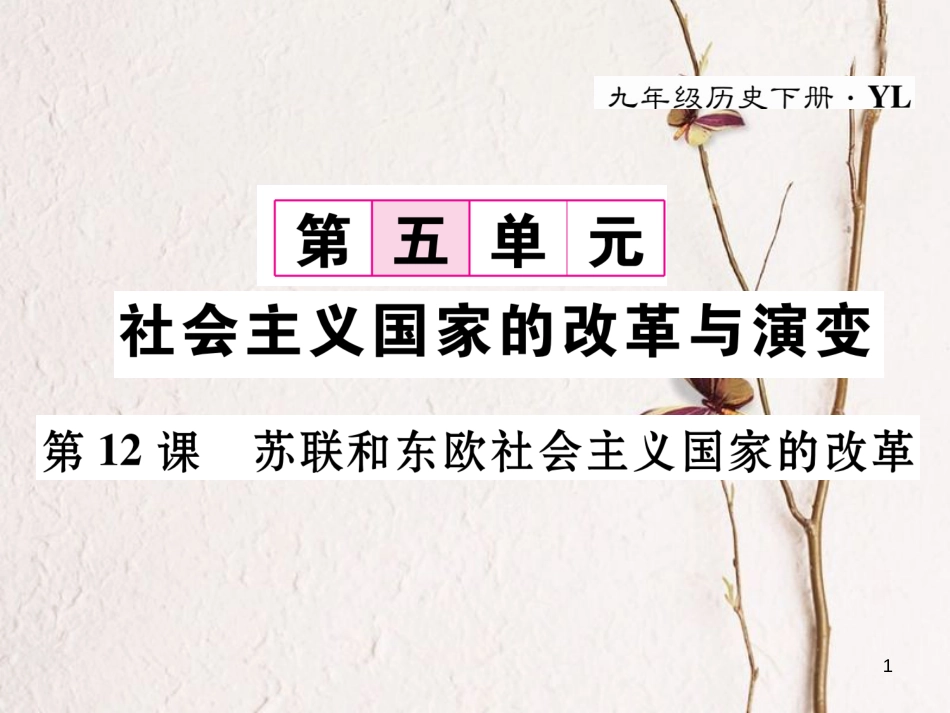 九年级历史下册 第五单元 社会主义国家的改革与演变 第12课 苏联和东欧社会主义国家的改革作业课件 岳麓版_第1页