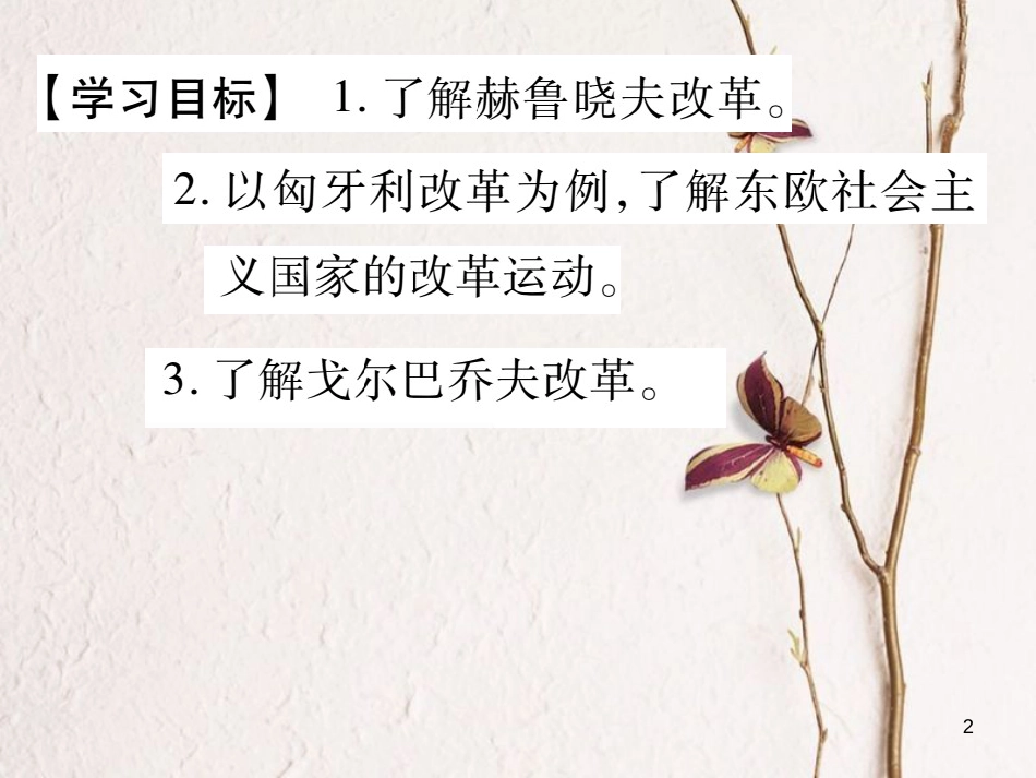 九年级历史下册 第五单元 社会主义国家的改革与演变 第12课 苏联和东欧社会主义国家的改革作业课件 岳麓版_第2页
