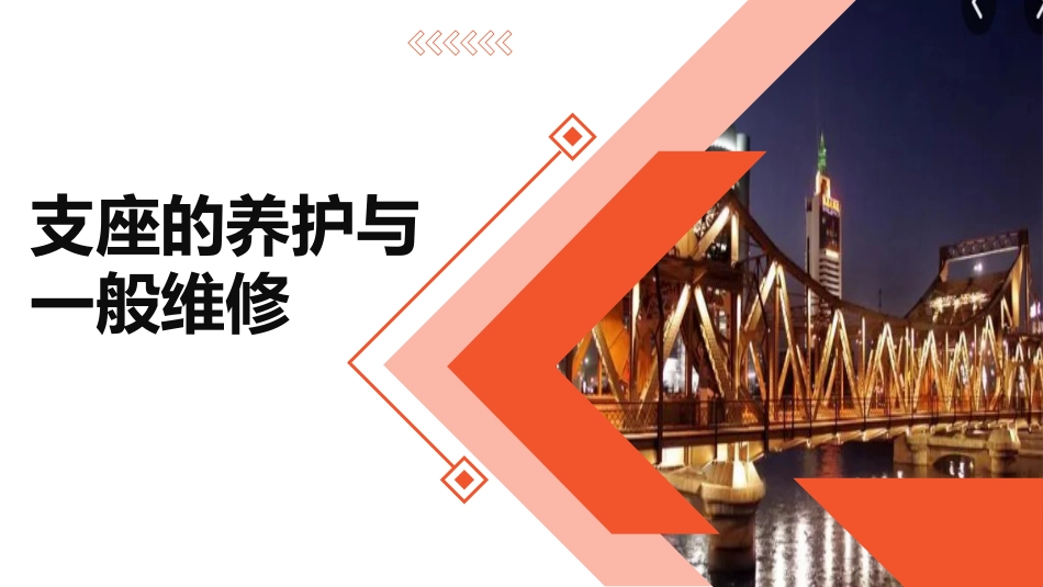 (2.4.1)--2.4.1 支座的养护与一般维修_第1页